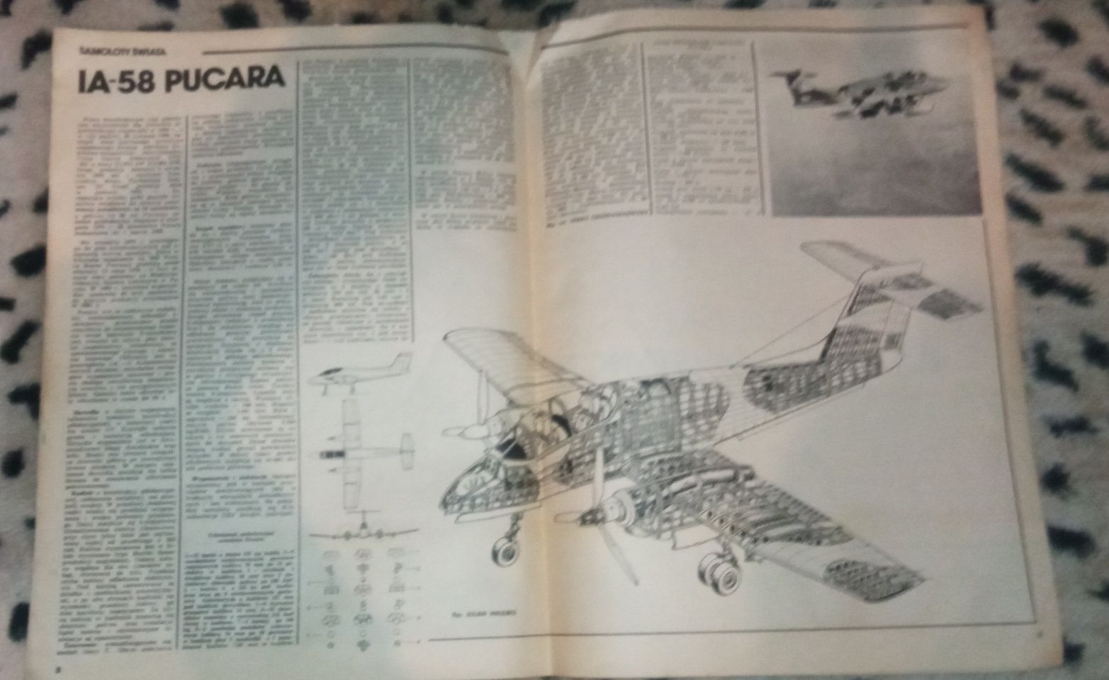 Skrzydlata Polska magazyn nr 48/ 1984 i 11 / 1982