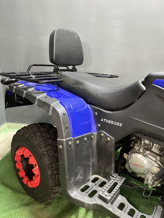 Квадроцикл Forte ATV 250 BS