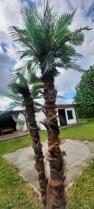 Działka rekreacyjna