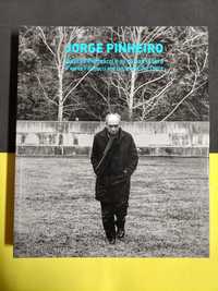 Jorge Pinheiro - D'après Fibonacci e as coisas lá fora