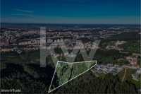 Terreno | Investimento |Eucaliptal Com 8000M2|Tovim|Coimbra