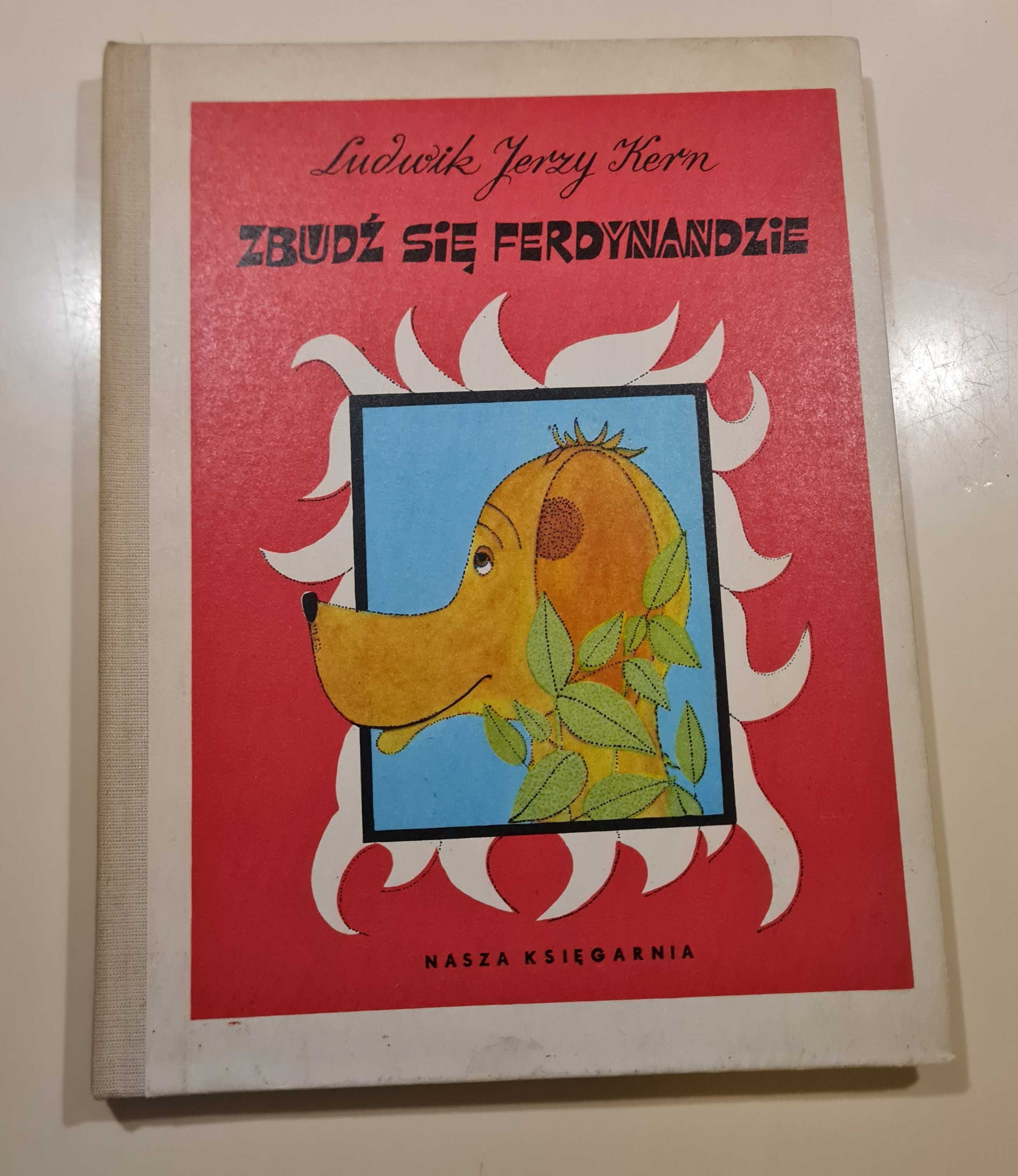 Książka Zbudź się Ferdynandzie Ludwik Jerzy Kern 1983