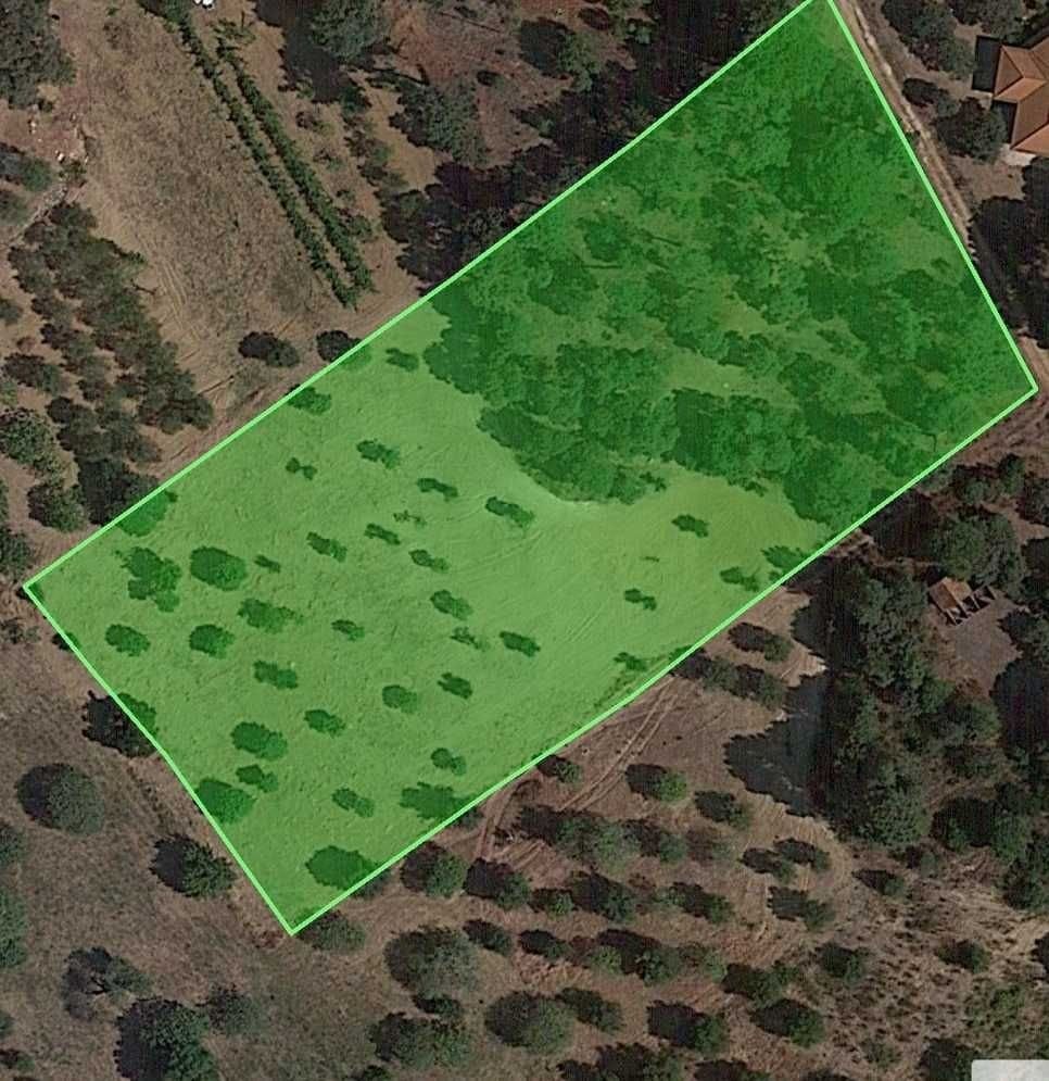 Terreno rústico, 7800m2 - Disfrute da natureza em Torres Novas!