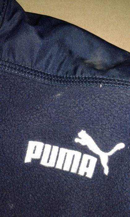 Polar Puma