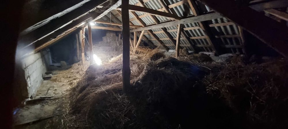 Słoma w małych kostkach