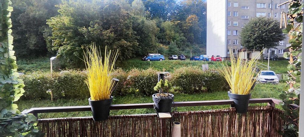 Ustawne 3 pokojowe mieszkanie pod lasem, niedaleko centrum Gdyni