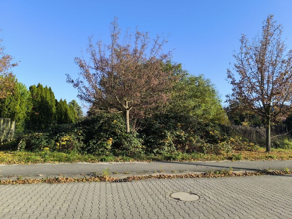 Znakomicie zlokalizowana działka Poznań Szczepankowo Spławie  1079 mkw