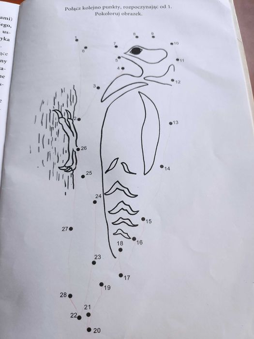 Książka logopedyczna Przygody Języczka - Podróżniczka