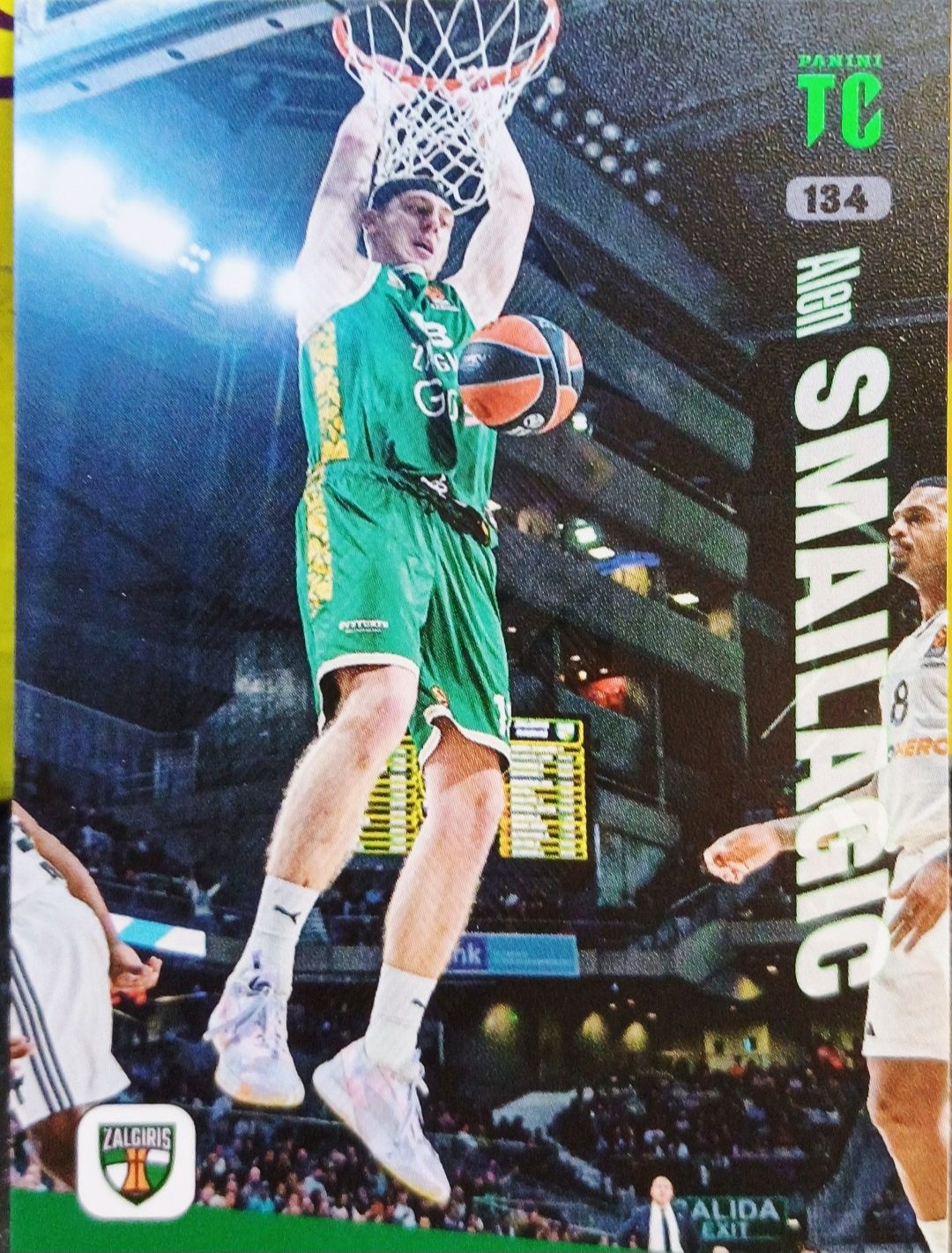 Panini Top Class Pure Basketball – Alen Smailagić (nr 134) karta kolek