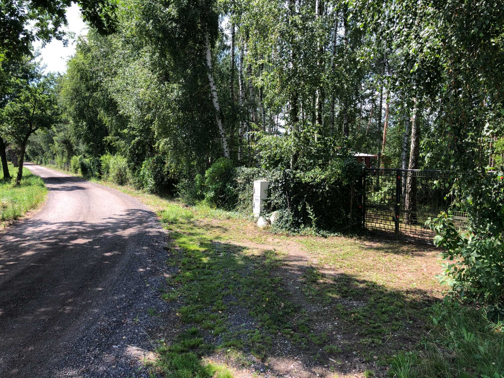Działka leśna 3999 m2 z domkiem drewnianym z dużym potencjałem