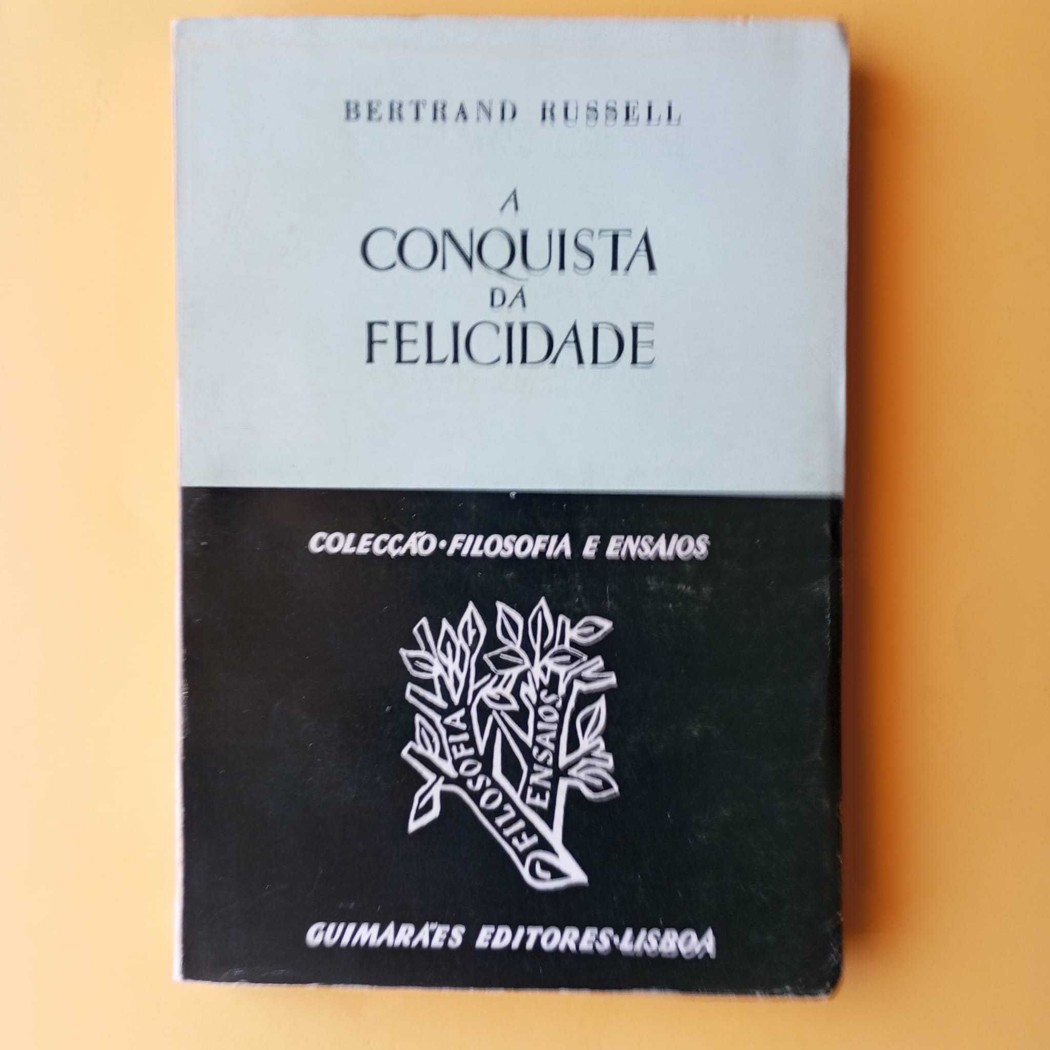 Coleção de Livros Mistos - Autores Variados - Conjunto 17