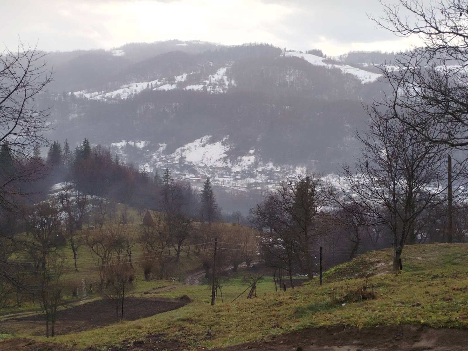 Будинок в Карпатах