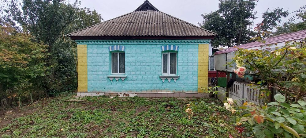 Продаж будинку з ділянкою 22 сотки Козаровичі