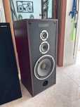 Colunas pioneer gigantes