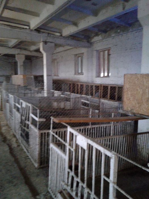 Продам отдельностоящую животноводческую ферму в Криворожском районе