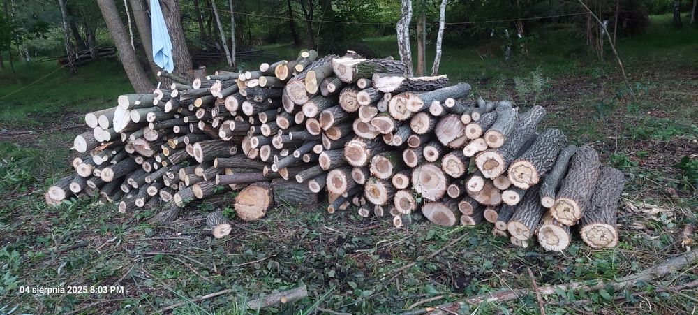 Drewno opałowe wierzba metry