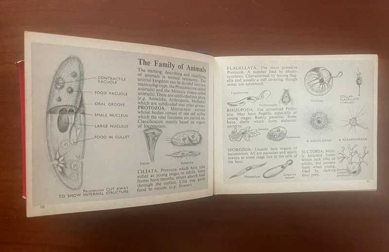 The Dumpy Pocket Book for Biologists