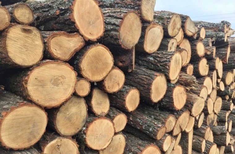 Дрова Рубані, метровки 1200 грн