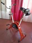 Bicicleta fixa para pernas e alongamento de coluna