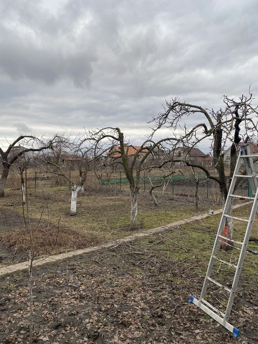 Профессиональная обрезка фруктовых деревьев,а так же любых других