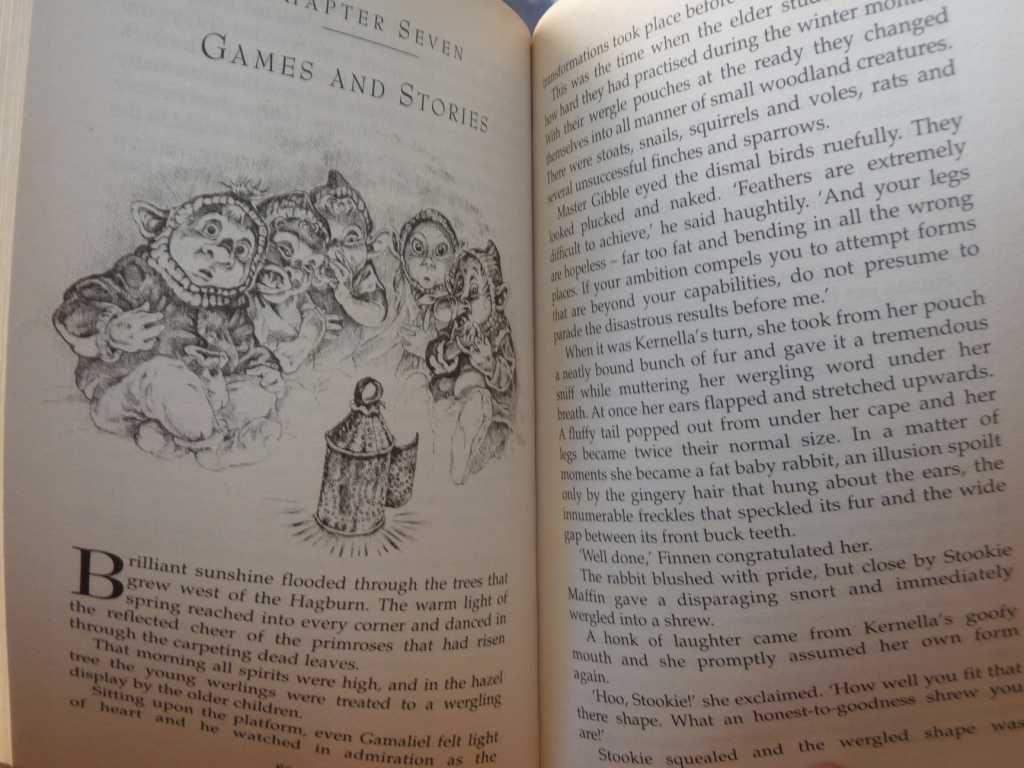 po angielsku fantasy : Thorn Ogres of Hagwood - Robin JARVIS