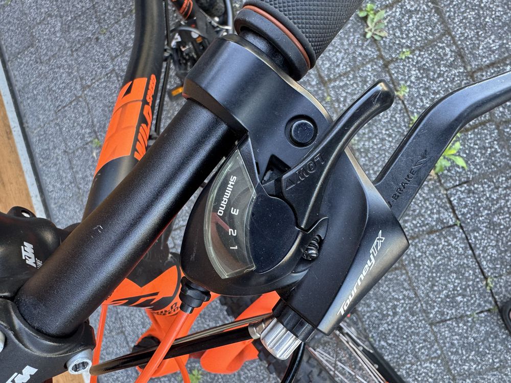 Rower KTM Wild Speed Disc 24