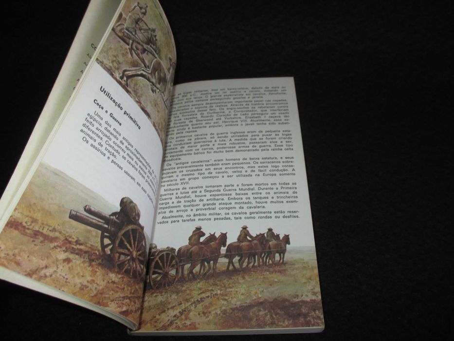 Livro Cavalos Judith Campbell Prisma