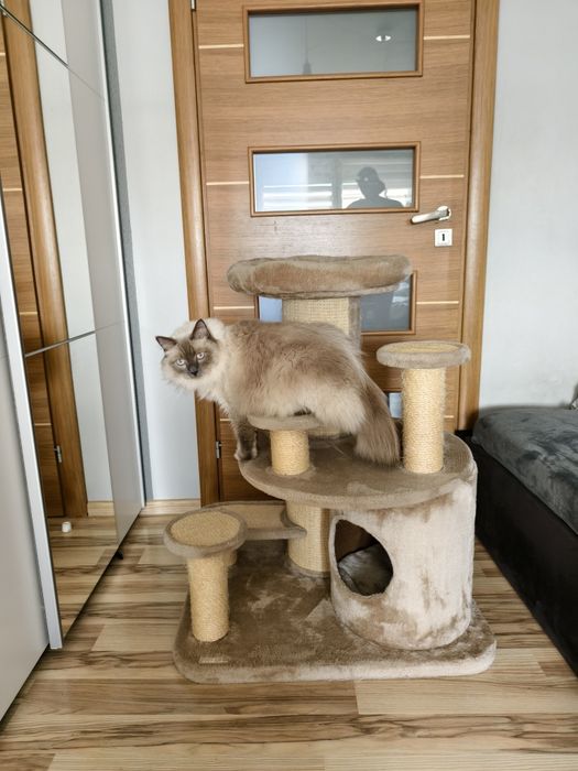 Drapak dla kota KERBL