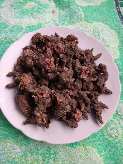 Корінь калгану сушений (перстач)