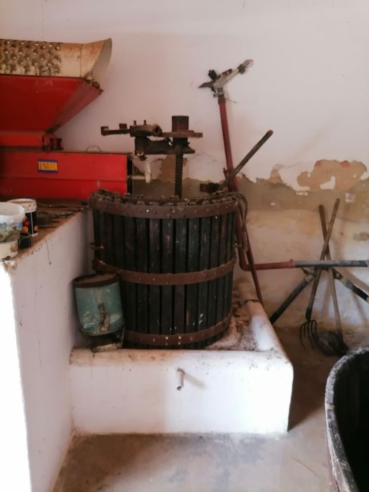 Esmagador desengacador de uva