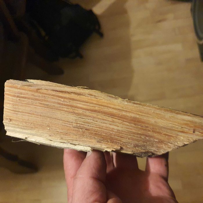 Rozpałka szczypa smolna