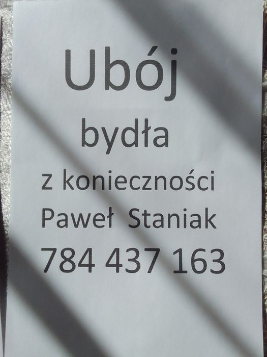 Skup bydła lubelskie mazowieckie świętokrzyskie