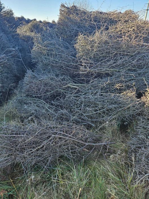 tarnina   tężnia solankowa  OD  RĘKI