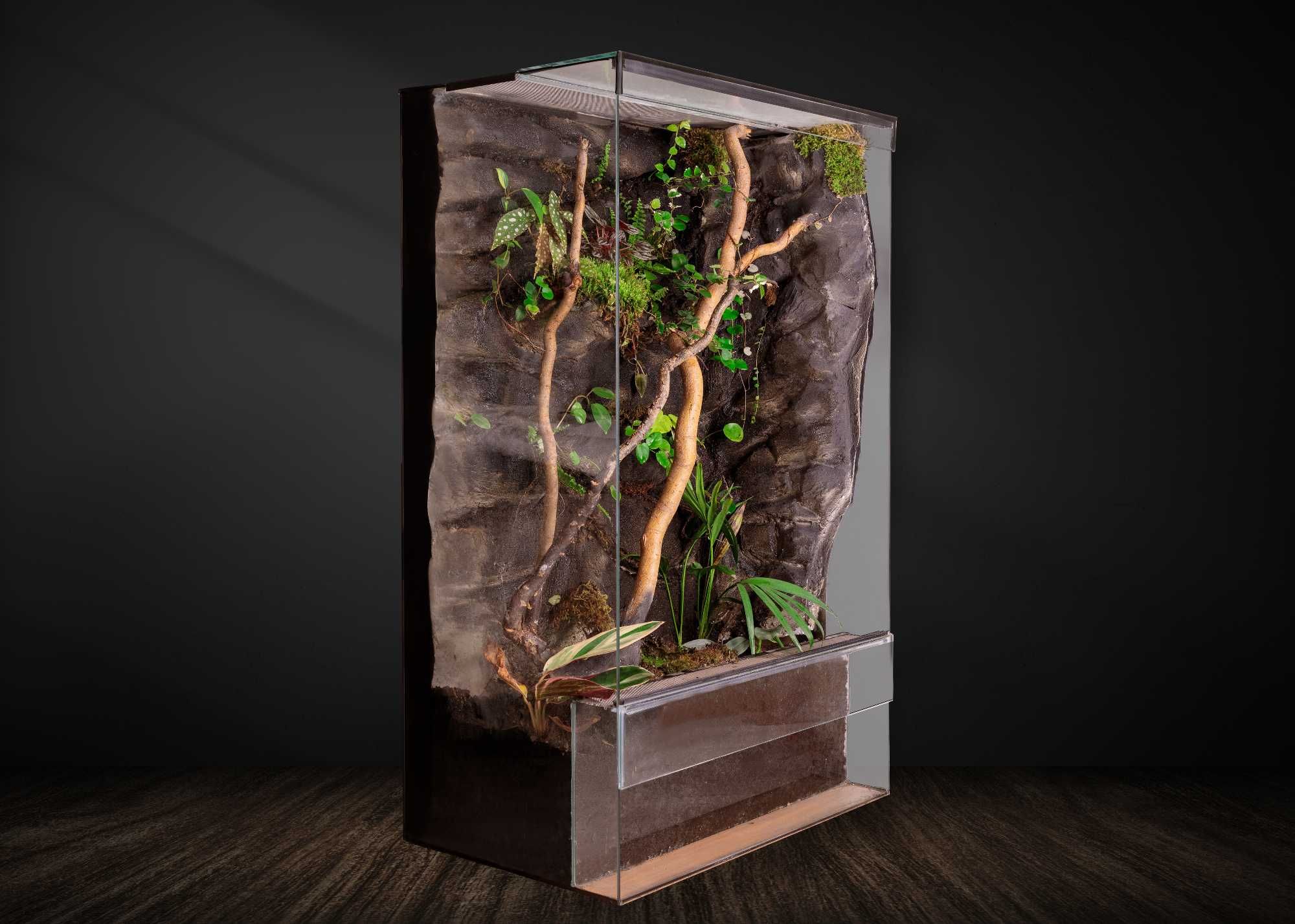 terrarium 60x40x100 gekon jaszczurka