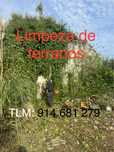 Limpeza de terrenos
