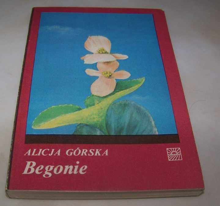 Begonie - Górska / js