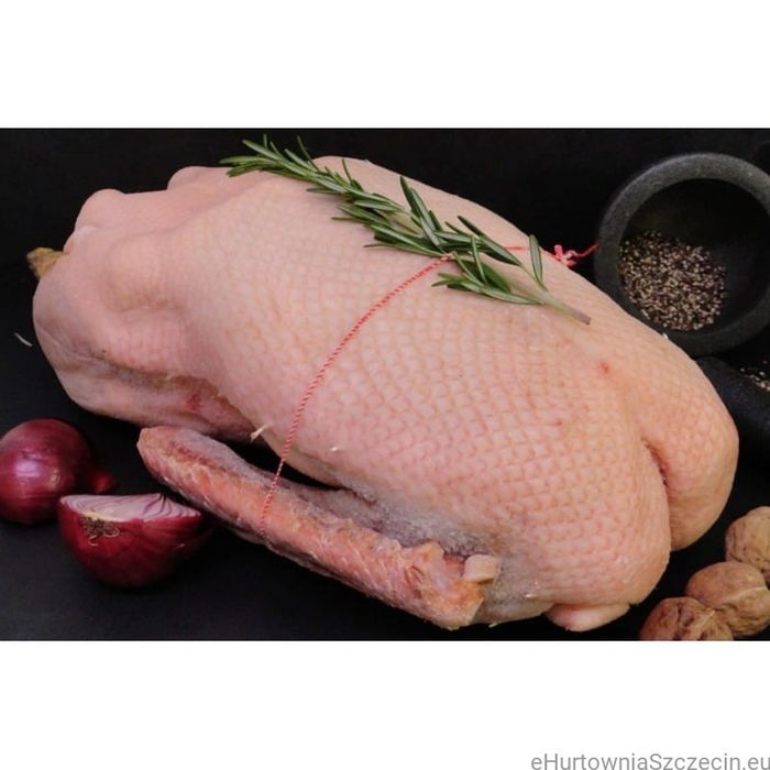 Gęsi, kaczki z wiejskiego podwórka