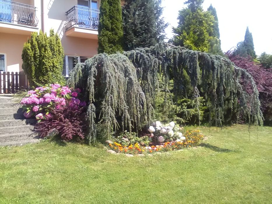 Na sprzedaż działający pensjonat w Ustroniu Morskim