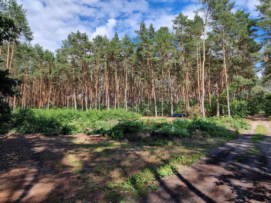 Działka budowlana os. Wygoda