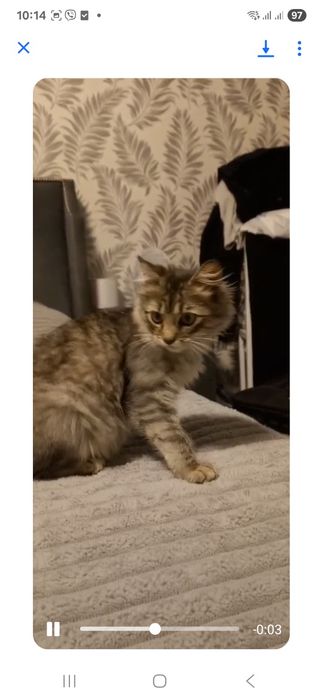 Дівчинка підліток в хороші руки