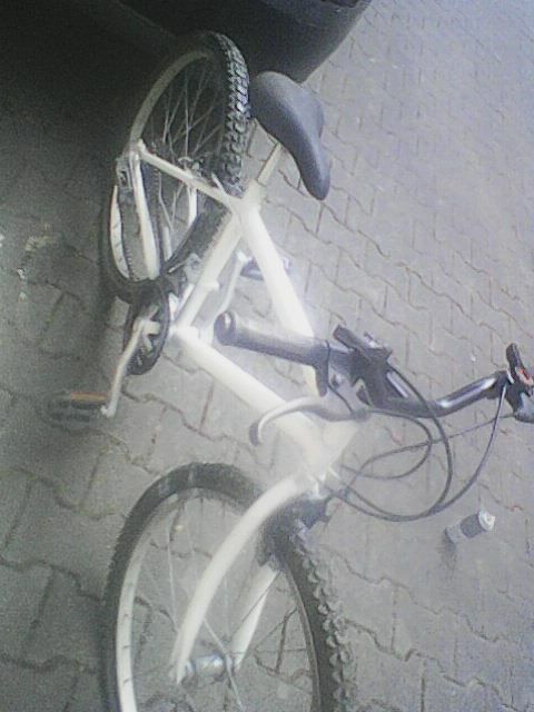 Bicicleta todo terreno roda 24