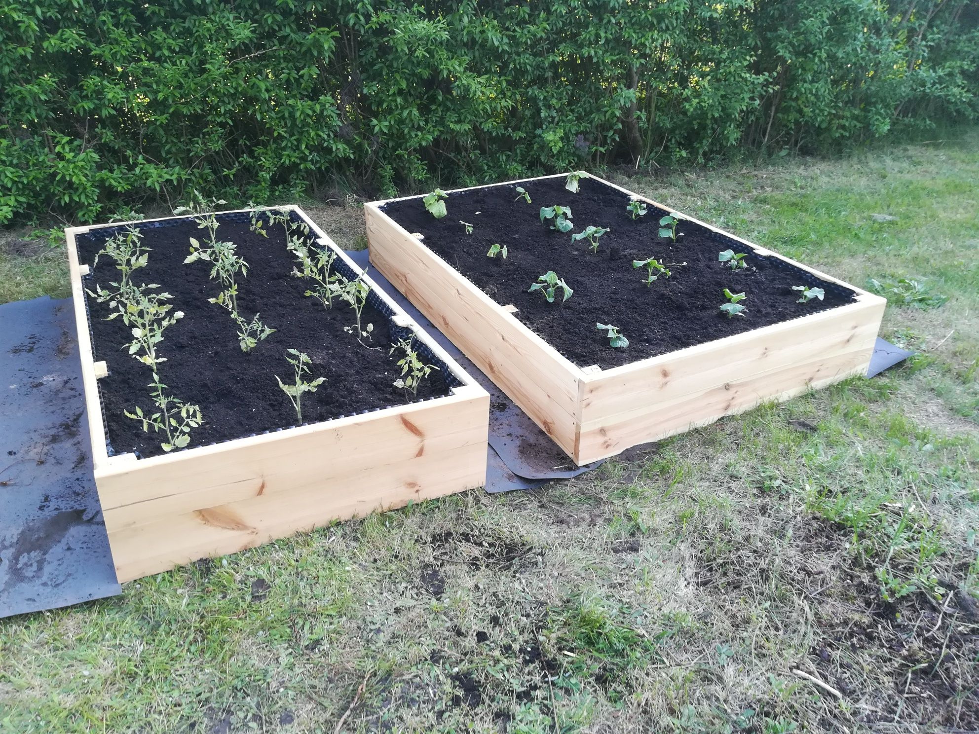 Skrzynie na warzywa, podwyższone grządki grubość deski 3cm!!