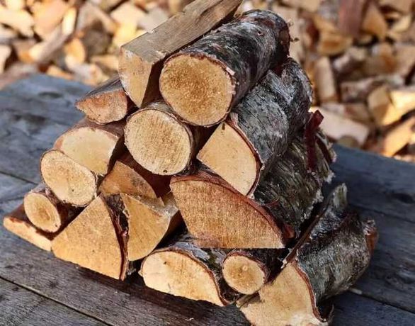 Drewno kominkowe suche karton dąb dęby brzoza Ciechocinek
