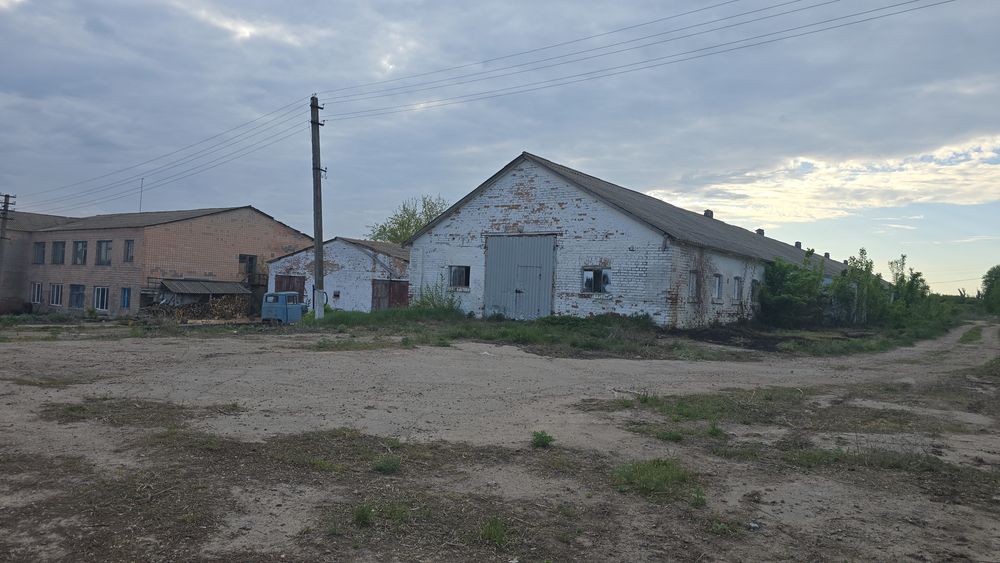 Продам  ферму Київська обл