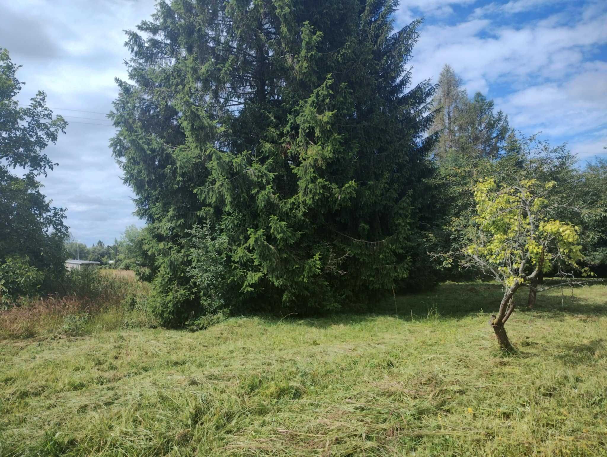 Działka rolna 13 arowa z warunkami zabudowy