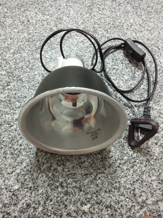 Lâmpada  50w com suporte