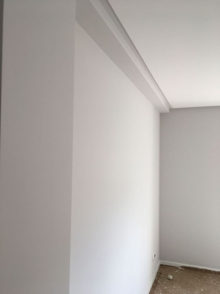 Sou pintor profissional