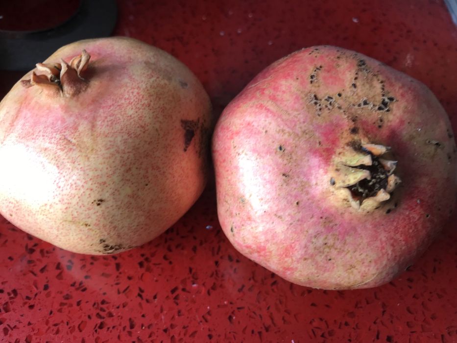 Marmelada caseira e  romas para o natal