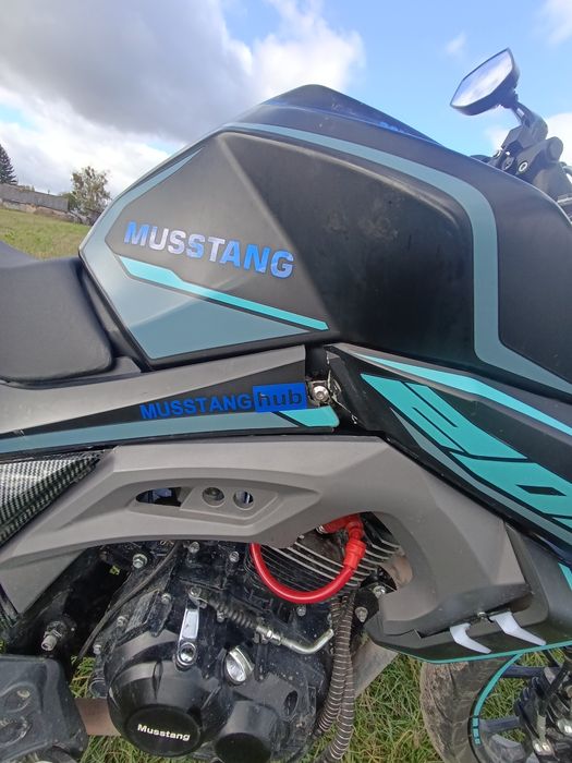 Мустанг ст 200 ,musstang st 200