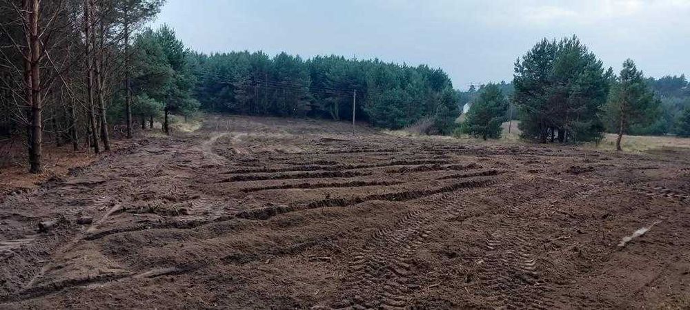 Karczowanie, rekultywacja, wycinka drzew, mulczowanie